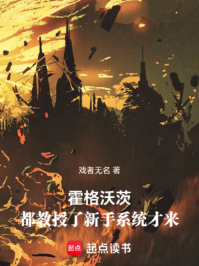 霍格沃茨：都教授了新手系统才来在线阅读