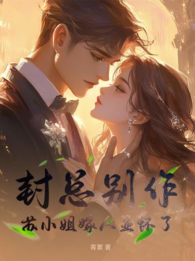 封总别作，苏小姐嫁人显怀了在线阅读