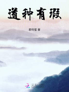 道种有瑕在线阅读