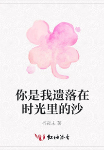 你是我遺落在時光里的沙