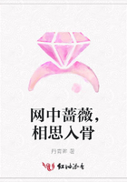 網中薔薇，相思入骨在線閱讀