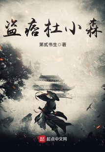 武林里的一個俠盜