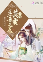 王爺莫要戀妻無度在線閱讀