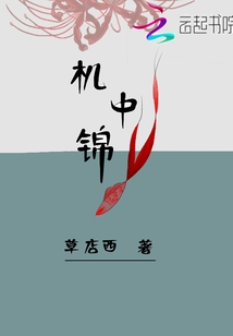 機中錦