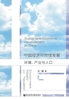 中国经济可持续发展:环境、产业与人口在线阅读