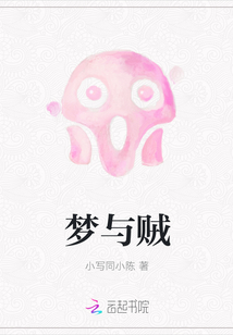 夢與賊