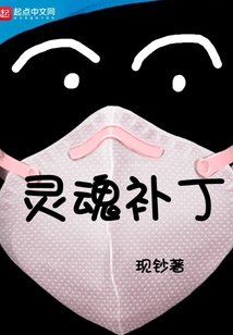 靈魂補(bǔ)丁