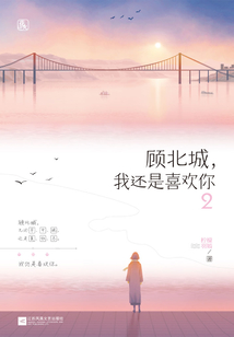 顧北城，我還是喜歡你2