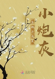 穿越之我是小炮灰
