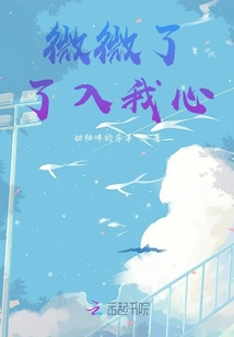 微微了了入我心