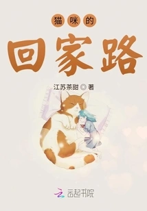 Cat's Way Home