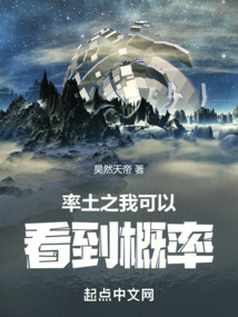 率土之我可以看到概率
