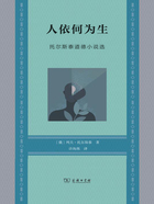 人依何為生：托爾斯泰道德小說選在線閱讀