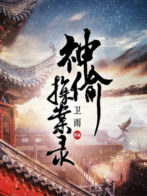 神偷探案錄