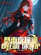 暴雨夜撞诡,校花敲门求保护在线阅读