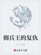 佣兵王的复仇在线阅读