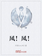 风!风!在线阅读