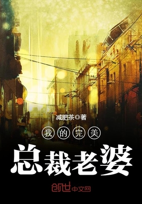 我的完美总裁老婆在线阅读