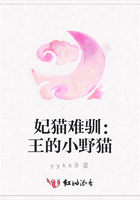 妃貓難馴：王的小野貓在線閱讀