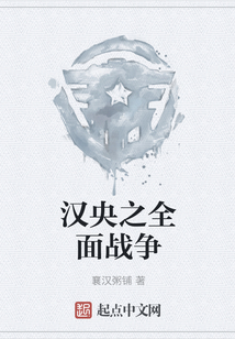 漢央之全面戰爭