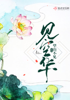 見空華在線閱讀