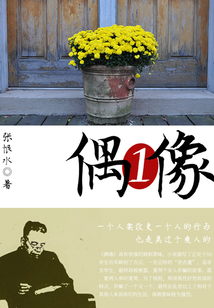 偶像(1)