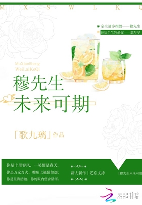 穆先生未来可期在线阅读