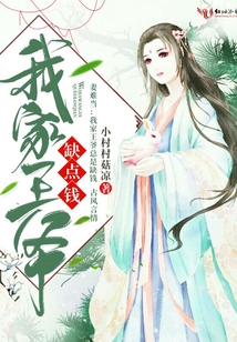 我家王爺缺點(diǎn)錢