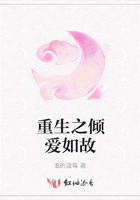重生之傾愛如故在線閱讀