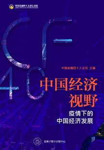 中國(guó)經(jīng)濟(jì)視野:疫情下的中國(guó)經(jīng)濟(jì)發(fā)展