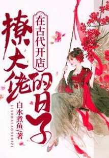 在古代開店撩大佬的日子