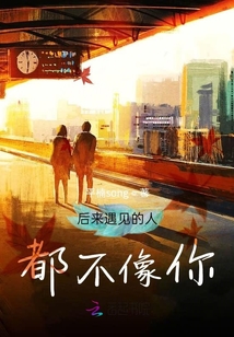 后來遇見的人都不像你