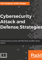 Cybersecurity：Attack and Defense Strategies在线阅读