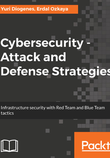 Cybersecurity:Attack and Defense Strategies