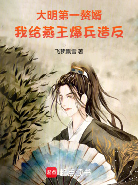 大明第一赘婿，我给燕王爆兵造反在线阅读