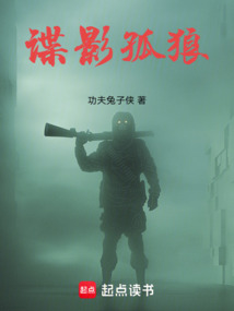 諜影孤狼