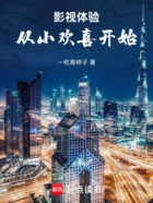 影视体验:从小欢喜开始在线阅读