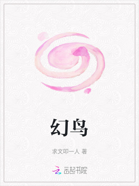 幻鸟在线阅读