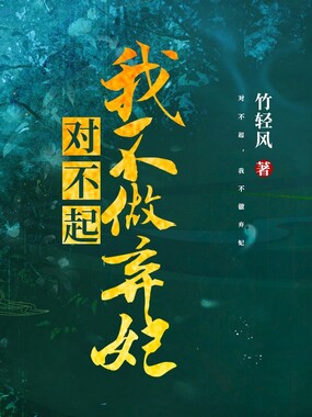 对不起,我不做弃妃在线阅读