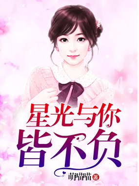 星光与你皆不负在线阅读