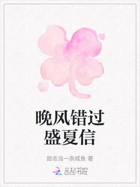 晚风错过盛夏信在线阅读