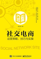 社交电商运营策略、技巧与实操在线阅读