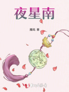 夜星南在線閱讀
