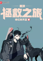 黑彈拯救之旅在線閱讀