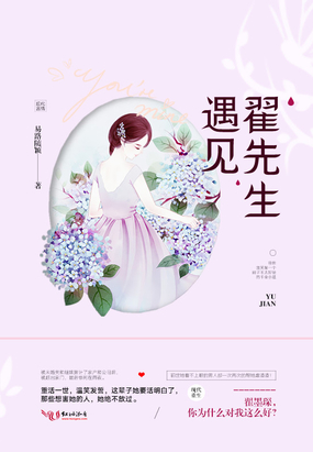 遇见翟先生在线阅读