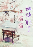 江苗苗她辞职了
