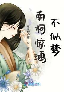南柯驚鴻不似夢