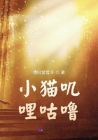 小貓嘰哩咕嚕在線閱讀