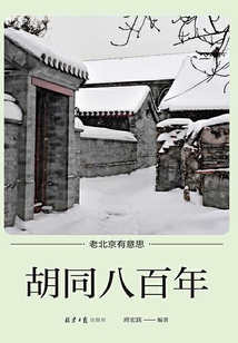 胡同八百年