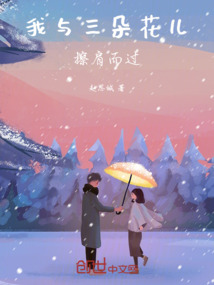 我与三朵花儿擦肩而过